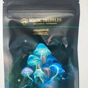 magic truffles wholesales