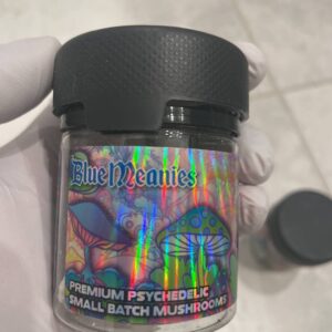 Trippy Delights Blue Meanies ( 16G )